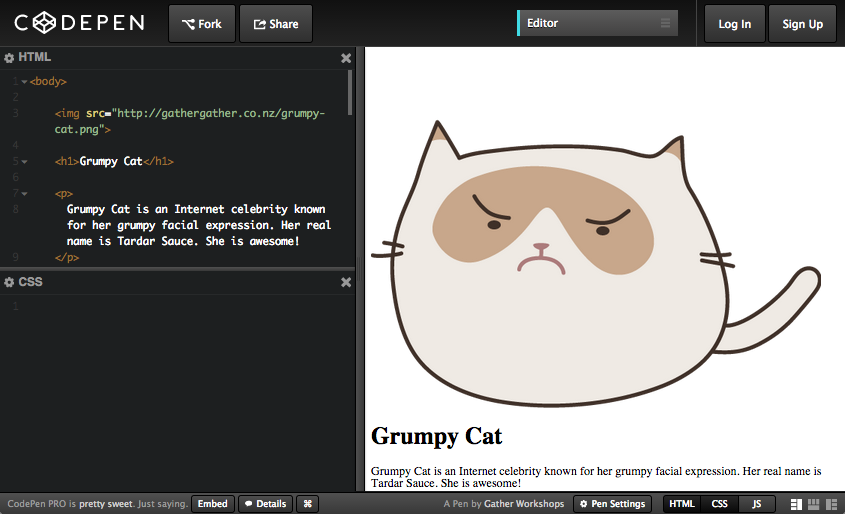 Screenshot of CodePen UI