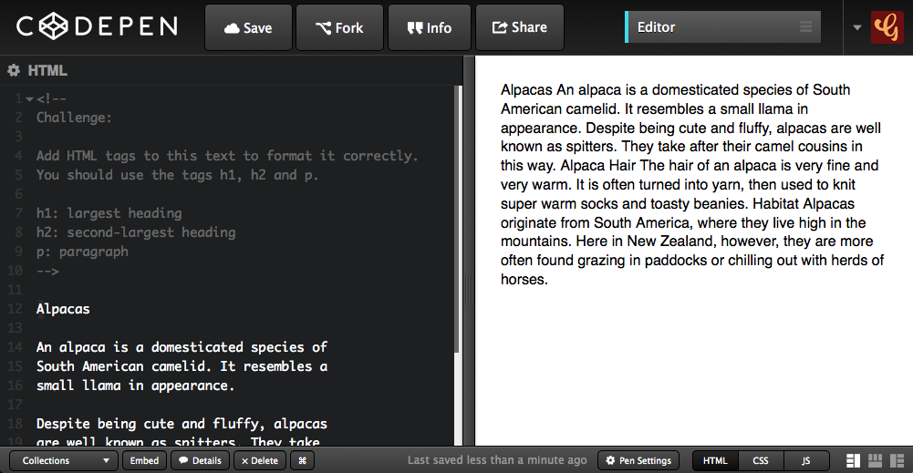 Screenshot of CodePen UI