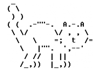 ASCII Cat